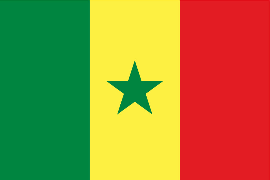 Guinea flag